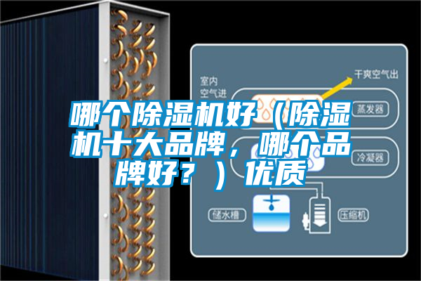 哪個除濕機好（除濕機十大品牌，哪個品牌好？）優質