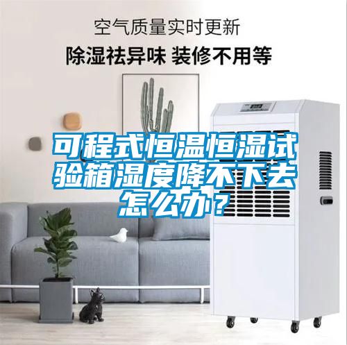 可程式恒溫恒濕試驗箱濕度降不下去怎么辦？