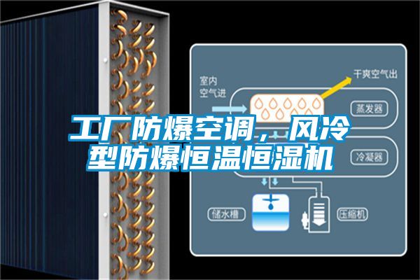 工廠防爆空調(diào)，風(fēng)冷型防爆恒溫恒濕機(jī)
