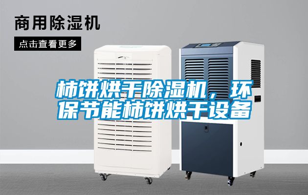 柿餅烘干除濕機，環保節能柿餅烘干設備