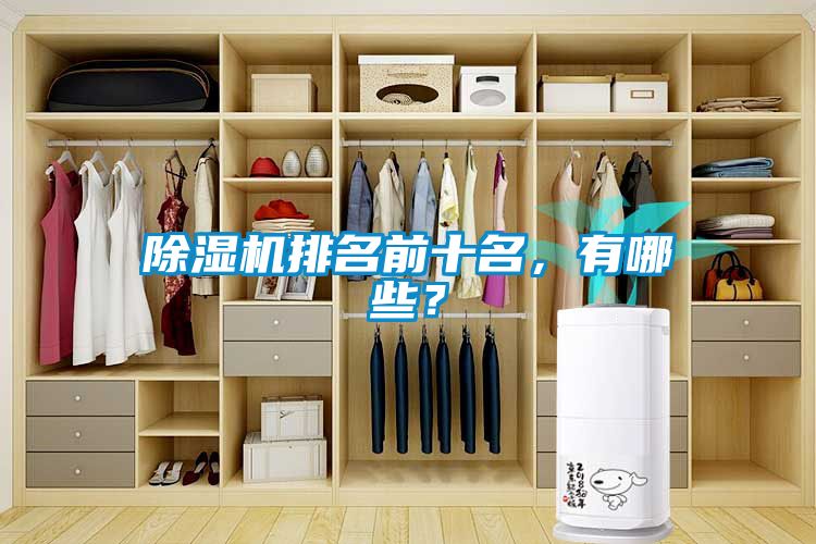 除濕機排名前十名，有哪些？