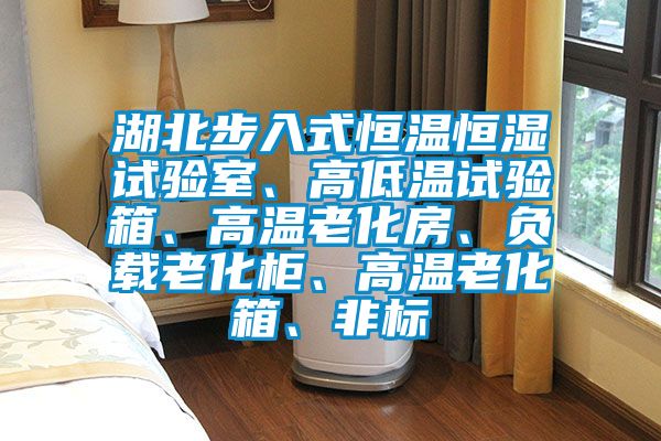 湖北步入式恒溫恒濕試驗(yàn)室、高低溫試驗(yàn)箱、高溫老化房、負(fù)載老化柜、高溫老化箱、非標(biāo)