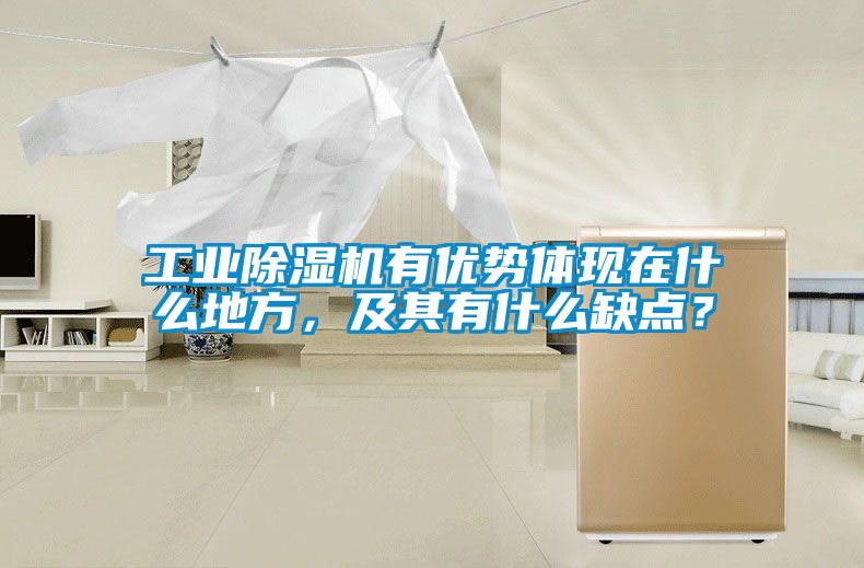 工業除濕機有優勢體現在什么地方，及其有什么缺點？