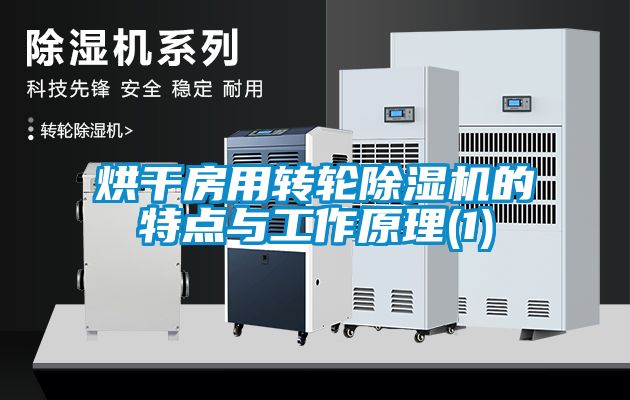 烘干房用轉(zhuǎn)輪除濕機(jī)的特點與工作原理(1)