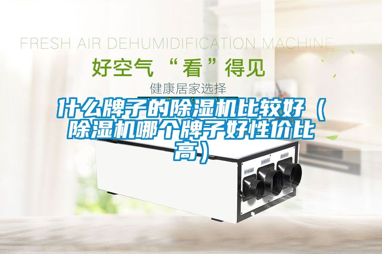 什么牌子的除濕機(jī)比較好（除濕機(jī)哪個牌子好性價比高）