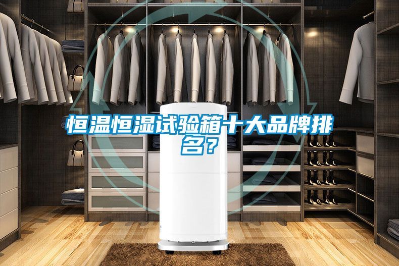 恒溫恒濕試驗箱十大品牌排名？
