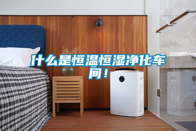 什么是恒溫恒濕凈化車間！
