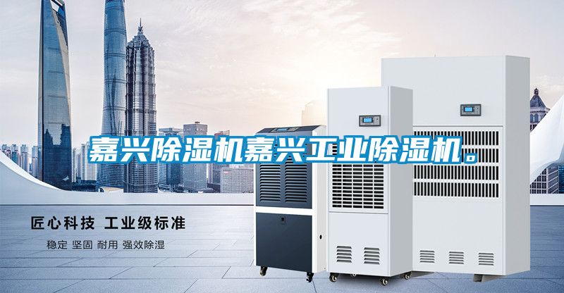 嘉興除濕機嘉興工業除濕機。