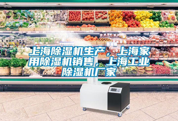 上海除濕機生產，上海家用除濕機銷售，上海工業除濕機廠家