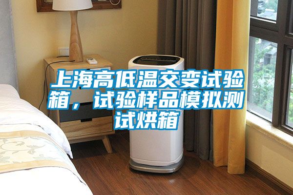 上海高低溫交變試驗(yàn)箱，試驗(yàn)樣品模擬測試烘箱