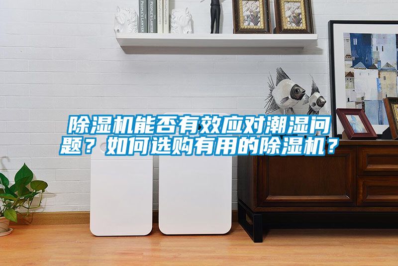 除濕機能否有效應對潮濕問題？如何選購有用的除濕機？