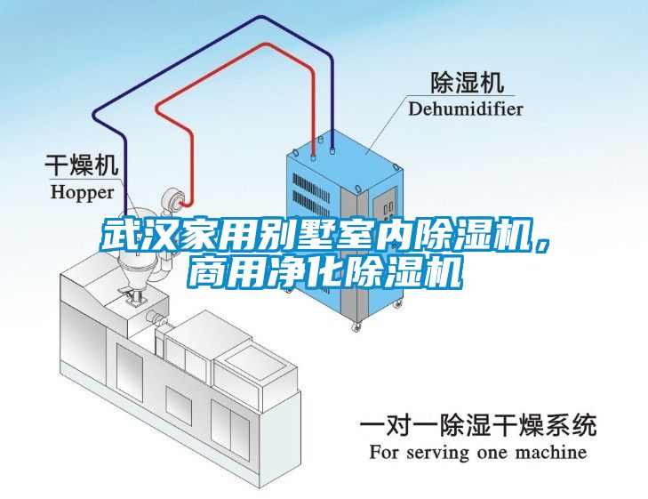 武漢家用別墅室內除濕機，商用凈化除濕機