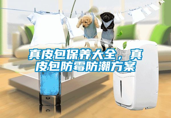 真皮包保養大全，真皮包防霉防潮方案