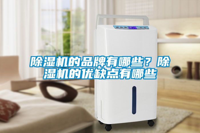 除濕機(jī)的品牌有哪些？除濕機(jī)的優(yōu)缺點(diǎn)有哪些