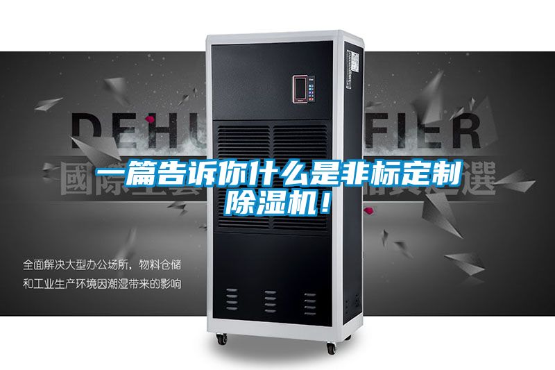 一篇告訴你什么是非標定制除濕機！