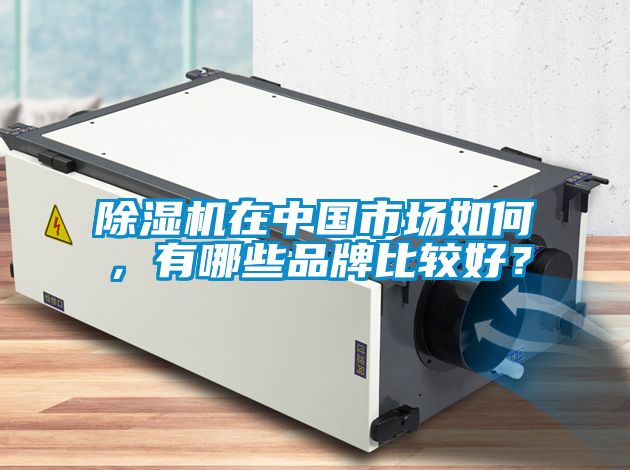 除濕機(jī)在中國(guó)市場(chǎng)如何，有哪些品牌比較好？