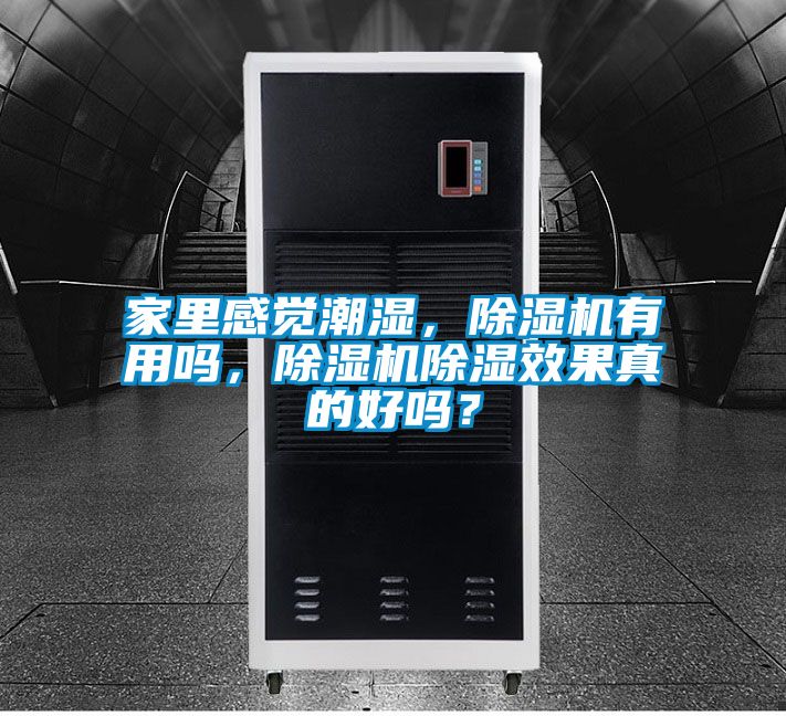 家里感覺潮濕，除濕機有用嗎，除濕機除濕效果真的好嗎？