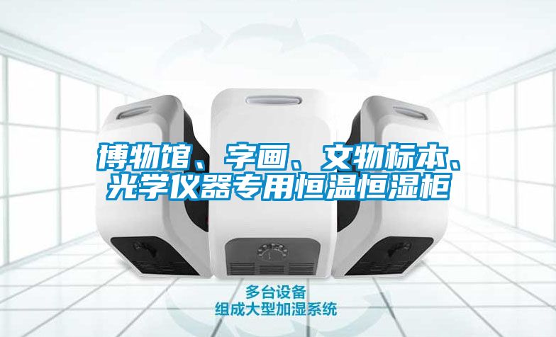 博物館、字畫、文物標(biāo)本、光學(xué)儀器專用恒溫恒濕柜