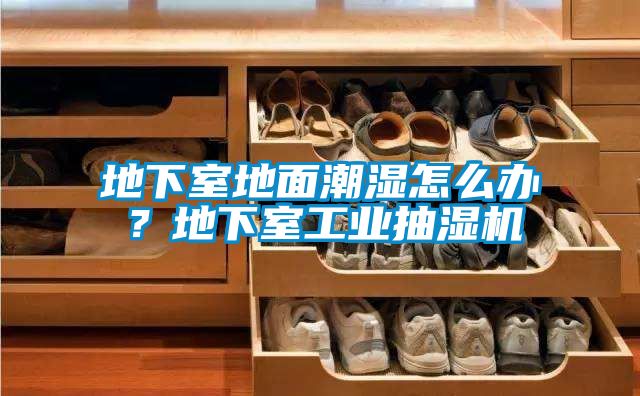 地下室地面潮濕怎么辦？地下室工業抽濕機