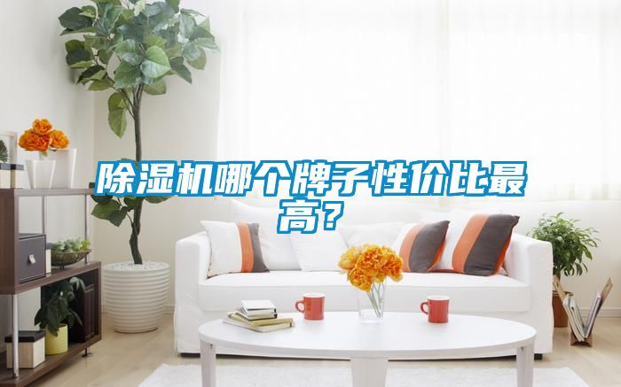 除濕機哪個牌子性價比最高？