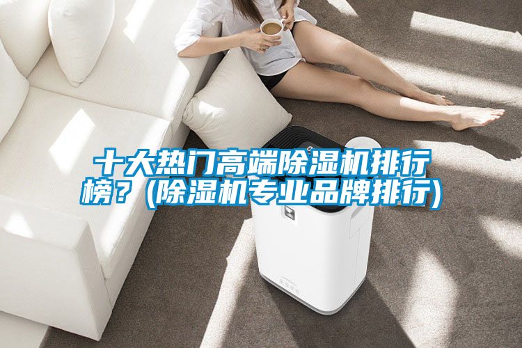 十大熱門高端除濕機排行榜？(除濕機專業品牌排行)