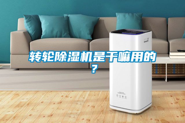 轉(zhuǎn)輪除濕機(jī)是干嘛用的？