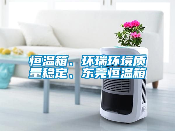 恒溫箱、環(huán)瑞環(huán)境質量穩(wěn)定、東莞恒溫箱