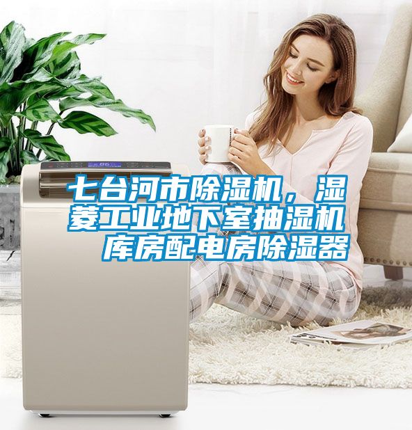七臺(tái)河市除濕機(jī)，濕菱工業(yè)地下室抽濕機(jī)  庫(kù)房配電房除濕器