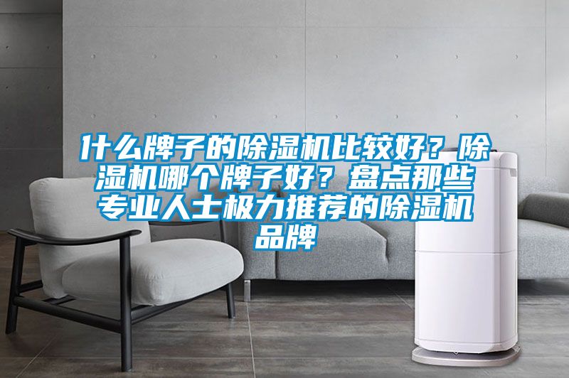 什么牌子的除濕機比較好？除濕機哪個牌子好？盤點那些專業人士極力推薦的除濕機品牌