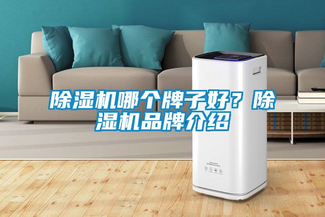 除濕機哪個牌子好？除濕機品牌介紹