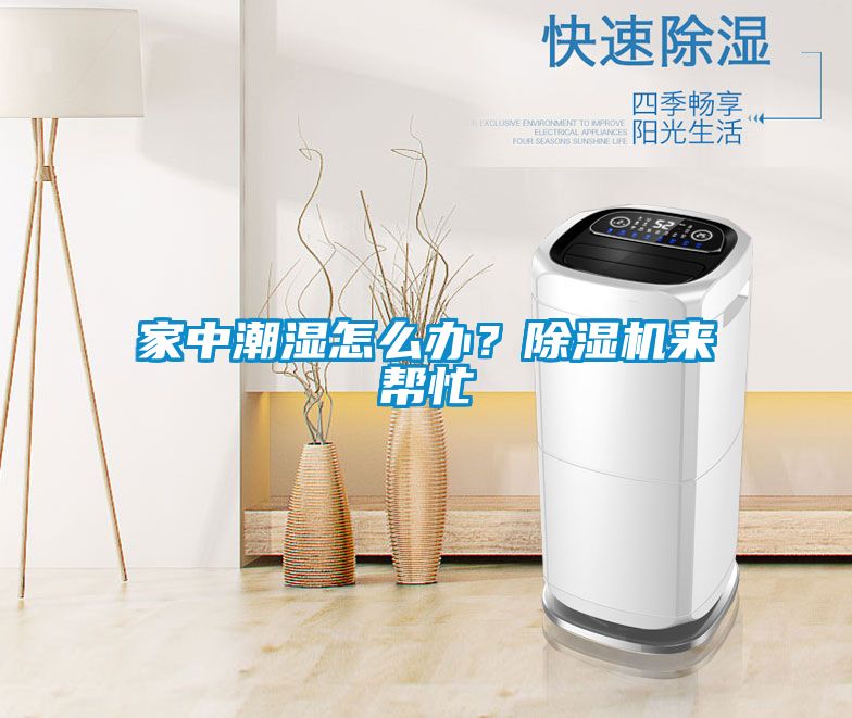 家中潮濕怎么辦？除濕機來幫忙