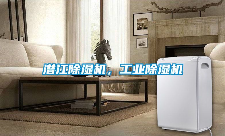 潛江除濕機(jī)，工業(yè)除濕機(jī)