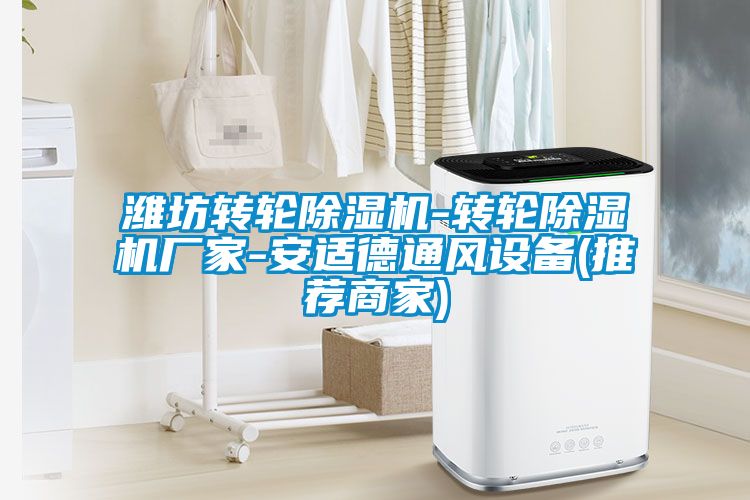 濰坊轉(zhuǎn)輪除濕機-轉(zhuǎn)輪除濕機廠家-安適德通風設(shè)備(推薦商家)