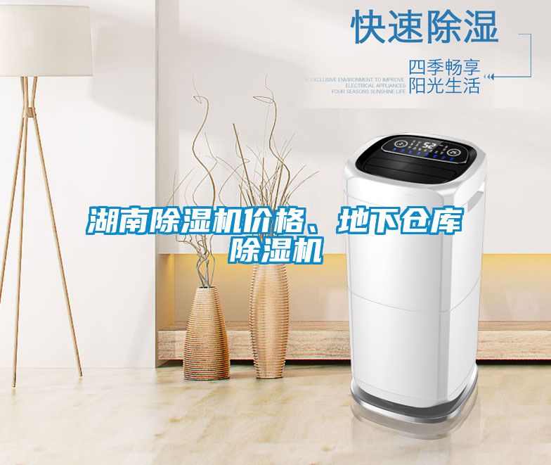 湖南除濕機(jī)價(jià)格、地下倉庫除濕機(jī)