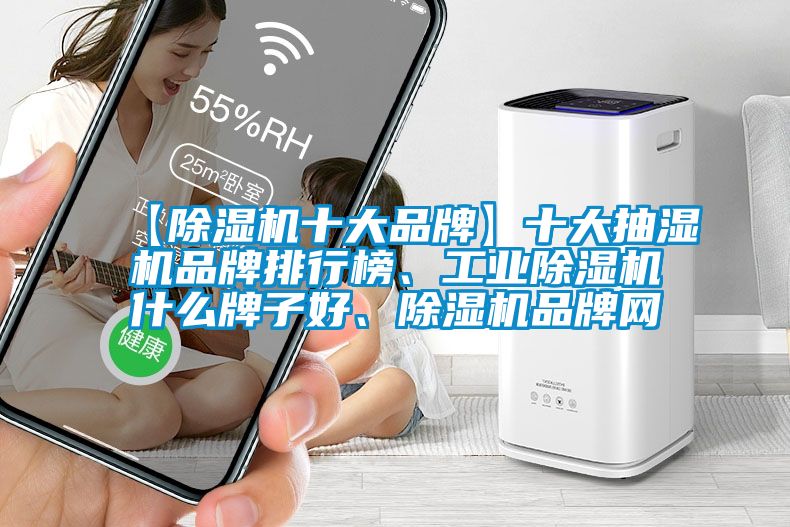【除濕機十大品牌】十大抽濕機品牌排行榜、工業除濕機什么牌子好、除濕機品牌網