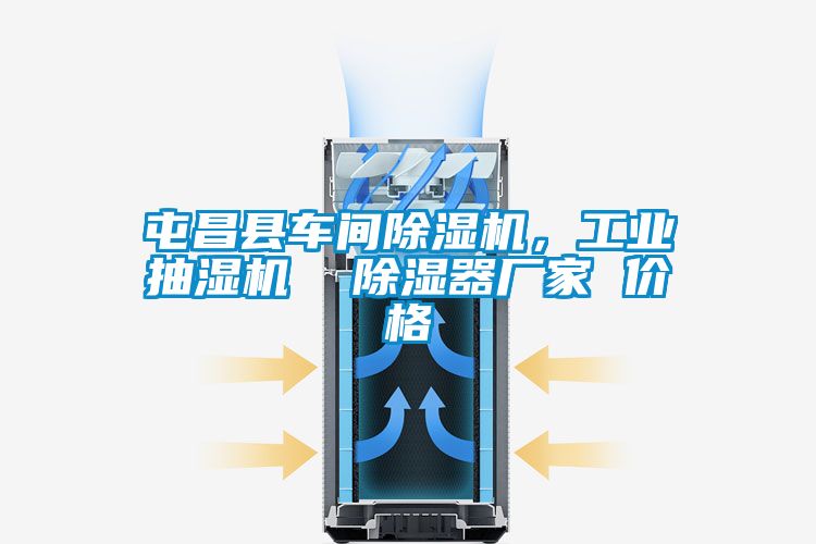 屯昌縣車間除濕機，工業(yè)抽濕機  除濕器廠家 價格
