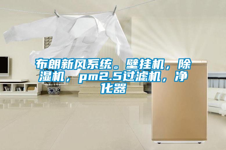 布朗新風系統(tǒng)。壁掛機，除濕機，pm2.5過濾機，凈化器