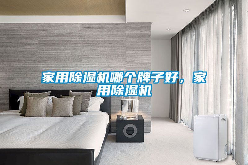 家用除濕機哪個牌子好，家用除濕機