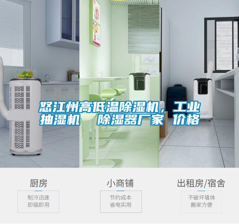 怒江州高低溫除濕機，工業抽濕機  除濕器廠家 價格