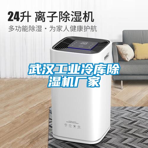 武漢工業(yè)冷庫除濕機(jī)廠家