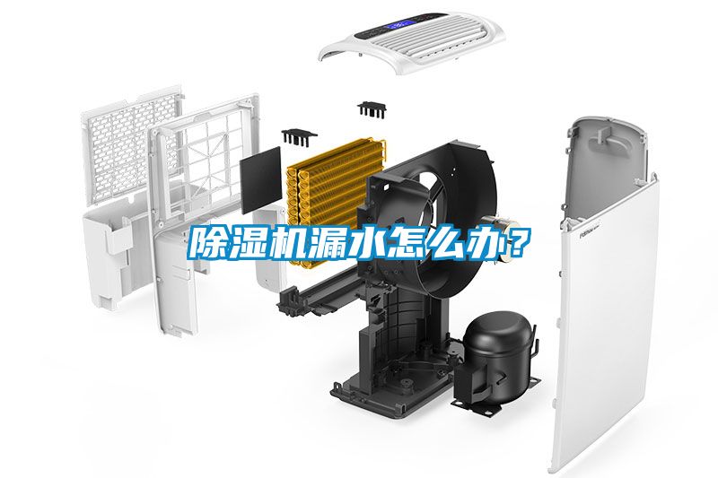 除濕機漏水怎么辦？