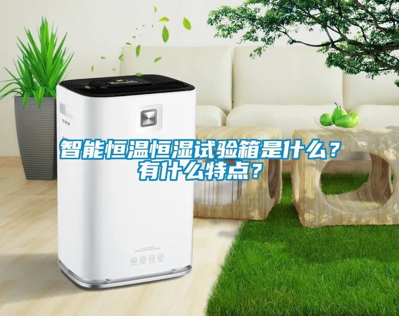 智能恒溫恒濕試驗箱是什么？有什么特點？