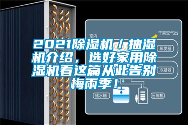 2021除濕機／抽濕機介紹，選好家用除濕機看這篇從此告別梅雨季！