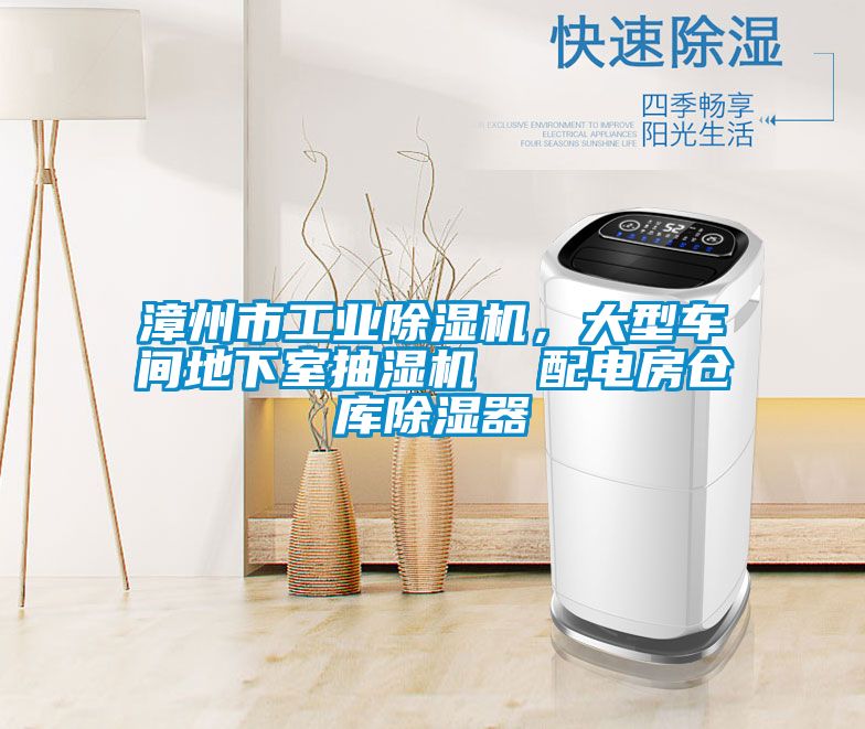 漳州市工業(yè)除濕機(jī)，大型車間地下室抽濕機(jī)  配電房倉(cāng)庫(kù)除濕器